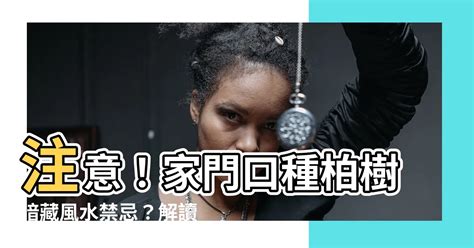 家門口種扁柏|柏樹禁忌 :: 農作物專家